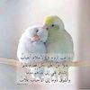 user6583971930268