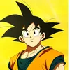 vegeta5604