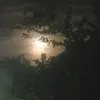 ★𝑳𝒖𝒄𝒊𝒇𝒆𝒓︵★