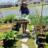 lilly.family.garden