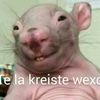 josse_er2