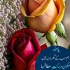 waseem..safdar.kh
