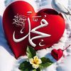 user7305124916588