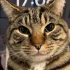 ebsy113