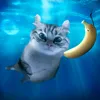 meowk_shiesty