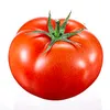 bro_im_a_tomato2