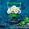 user5812976373414
