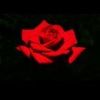 user7658181170480