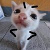 no.one.sees.my.pro