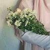 ummi.maryam20