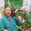 daw.aye.myint17