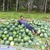 petani.riau0