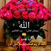 abrish.adnan2