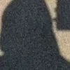 susanabshir1