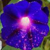 kathy5557