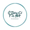 odaycotinhot