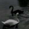 userr08209