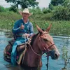 claudio.henrique365