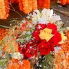 khadiza.akter.kha44