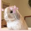 pinkbutterflyi