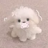bhny_nii