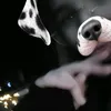zuzekk5