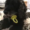 pckn00
