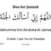 aisha.n794