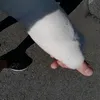 pizzaqrbzht
