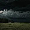 lih_59