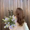 sanaryaxan528