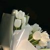 yasminahmed991