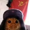 mayzi_14