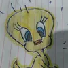 paulovty5wt