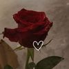 walaa.mohamed2805