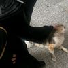 arwa_al46