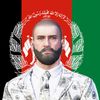 zall_shar_1
