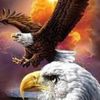 elwaleed07