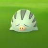 swinub_shiny