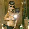 andres.fontalvo50