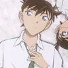 neko_shinran