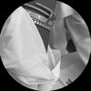 وعُـود