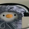 _stecustecu7