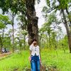 dipisha360