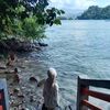 laurraj_