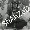 shehzad.jutt957