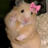 chp.cute035