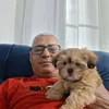 rogerio.gomes.lui