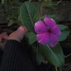 nur_1283i