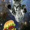 lioofrrs